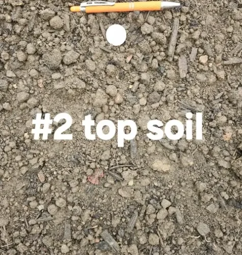 2024 11 16 – #2 Top soil 2024 11 16 - #2 Top soil