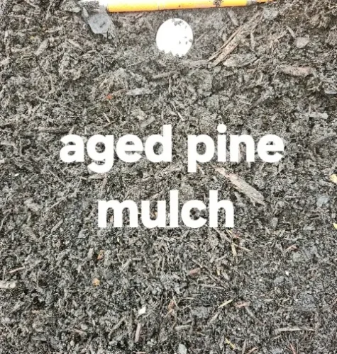 2024 11 16 – Aged Pine Mulch 2024 11 16 - Aged Pine Mulch