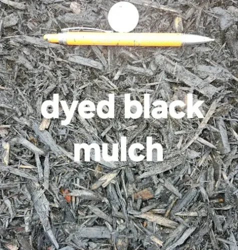 2024 11 16 – Top soil pic_07 2024 11 16 - Top soil pic_07